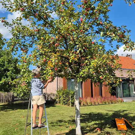 La Siroperie Tatil Evi *